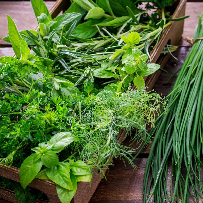 Herbs